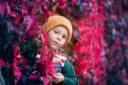 Cute toddler child with leaves, sitting in autumn park with his pet dogの写真素材