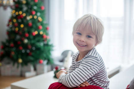 Beautiful toddler child, sitting with pet dog in front of  Christmas tree, decoration and presents around himの写真素材