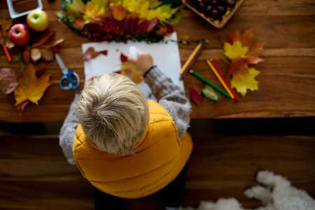 Sweet child, boy, applying leaves using glue while doing arts and chraft with leaves autumn at home, colorful spectrum of leavesの写真素材