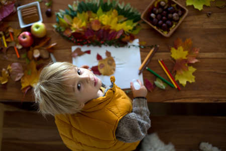 Sweet child, boy, applying leaves using glue while doing arts and chraft with leaves autumn at home, colorful spectrum of leavesの写真素材
