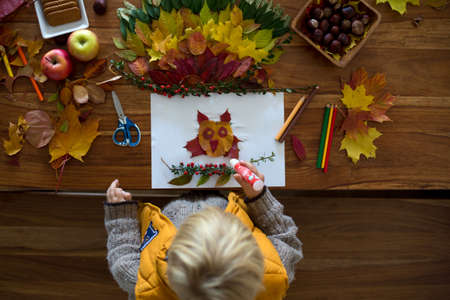 Sweet child, boy, applying leaves using glue while doing arts and chraft with leaves autumn at home, colorful spectrum of leavesの写真素材