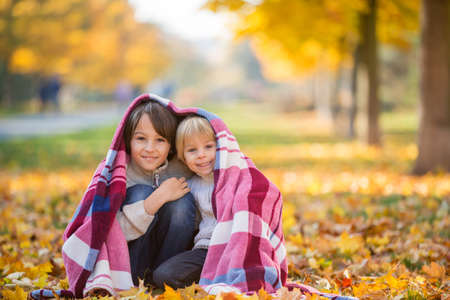 Happy children, playing with pet dog in autumn park on a sunny day, foliage and leaves all around themの写真素材