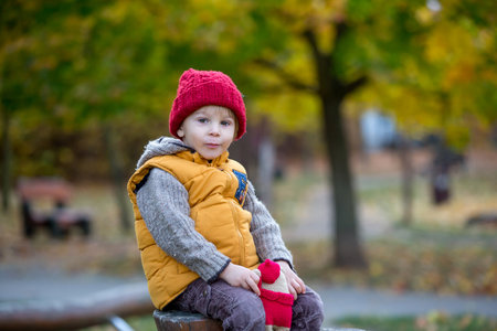 Happy child, playing with in autumn park on a sunny day, foliage and leaves all around him, eating appleの写真素材