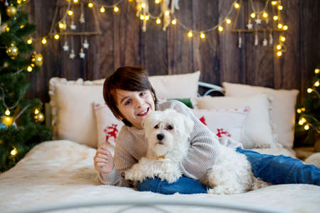 Happy child and pet dog, enjoying Christmas time together, celebrating christmasの写真素材