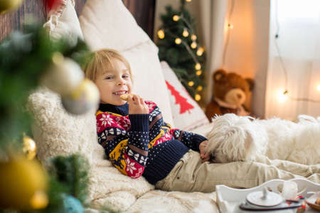 Cozy christmas atmosphere at home, child sitting on the bed, eating cookies with his little pet dog, maltese dog, enjoying christmas together and having teaの写真素材