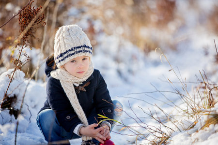 Child, toddler boy, playing with christmas balls for decoration outdoors in the park on a snowy dayの写真素材