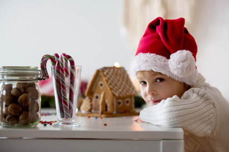 Blond toddler child, cute boy, making Christmas ginger bread house at homeの写真素材