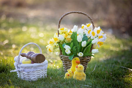 Beautiful stylish basket with tulips and daffodils, basket with eggs and chocolate bunny on a grass...