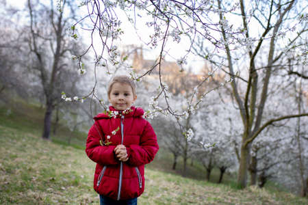 Happy child, toddler boy, visiting spring park in Prague, walking at sunset, Czech Republic
