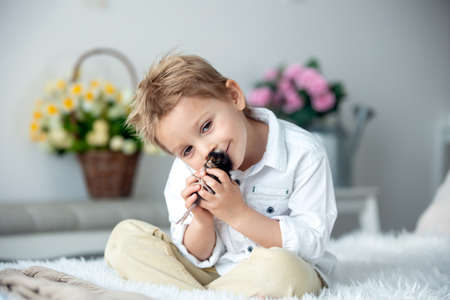 Cute child at home with little newborn chicks, enjoying, cute kid and animal friend in a sunny room