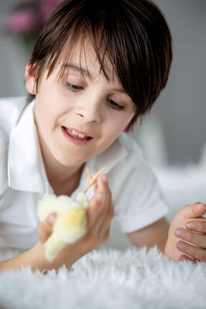Cute child at home with little newborn chicks, enjoying, cute kid and animal friend in a sunny room