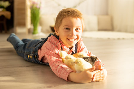 Cute child at home with little newborn chicks, enjoying, cute kid and animal friend in a sunny room