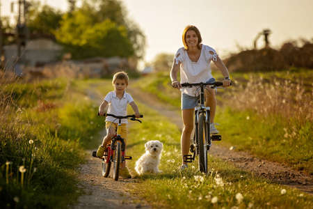 Cute child with pet dog, riding a bike in a rural field on sunset, springtimeの写真素材