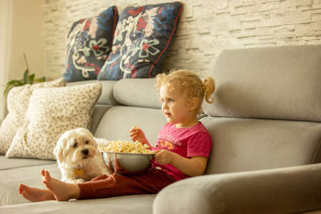 Cute little blond toddler girl, sitting in front of the TV with popcorn, watching movie with her pet maltese dogの写真素材