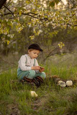 Beautiful toddler boy, child in vintage clothing, playing with little chicks in the park under...
