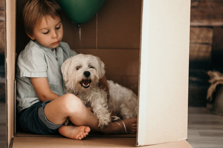 Cute toddler child and maltese pet dog, hiding in cardboard box, playing togetherの写真素材