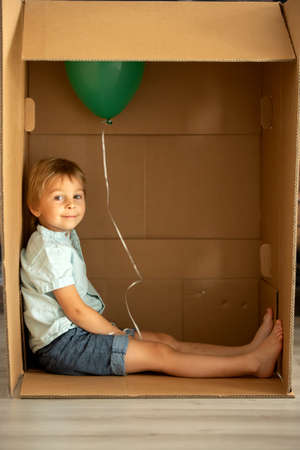 Cute toddler child and maltese pet dog, hiding in cardboard box, playing togetherの写真素材