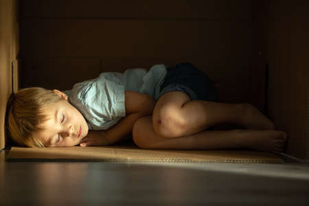 Cute toddler child and maltese pet dog, hiding in cardboard box, playing together