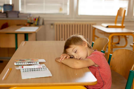 Tired preschool child, sitting on a desk at school, having lesson, learning, sleeping on the deskの写真素材