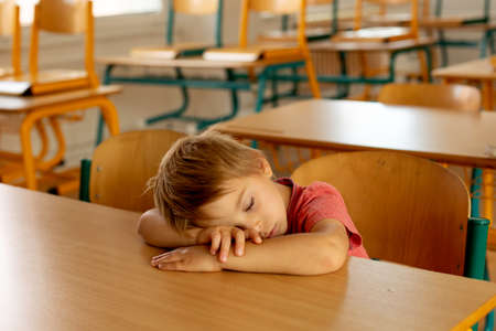 Tired preschool child, sitting on a desk at school, having lesson, learning, sleeping on the deskの写真素材