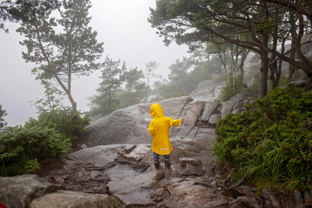 Family, enjoying the hike to Preikestolen, the Pulpit Rock in Lysebotn, Norway on a rainy day, toddler climbing with his pet dog the one of the most scenic fjords in Norwayの写真素材