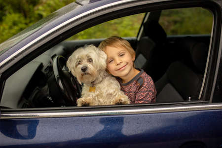 Child, toddler boy with maltese dog, staying in the car behind the windon on a cold rainy day