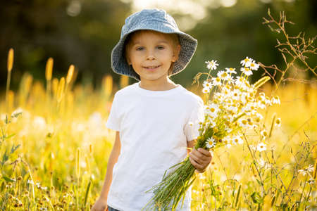Cute little toddler child, blond boy, eating watermelon in beautiful daisy field on sunset