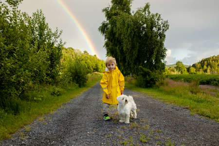 Little child with yellow raincoat and maltese dog, walking on a path, rainbow in front of him, Norway natureの写真素材