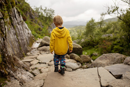 Family, enjoying the hike to Preikestolen, the Pulpit Rock in Lysebotn, Norway on a rainy day, toddler climbing with his pet dog the one of the most scenic fjords in Norwayの写真素材