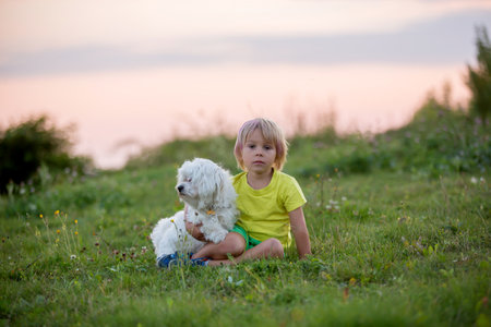 Cute preschool child, blond boy with pink stripes in his hair, taking pictures with his cute maltese...