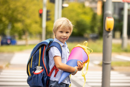 Cute blond child, boy with candy cone on first school day in Czech Republic, old German tradition that what transfer to Czzech as wellの写真素材