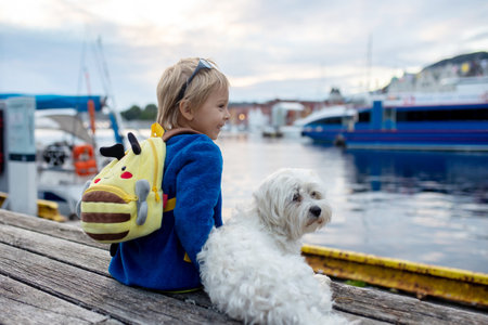 People, children enjoying the amazing views in Norway to fjords, mountains and other beautiful...