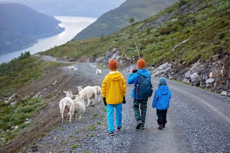 People, adult with kids and pet dog, hiking mount Hoven, enjoying the splendid view over Nordfjord from the Loen skyliftの写真素材
