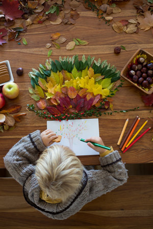 Sweet child, boy, applying leaves using glue while doing arts and chraft with leaves autumn at home, colorful spectrum of leavesの写真素材