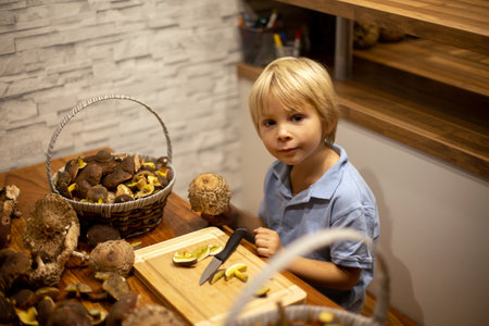 Cute blond toddler child, boy, cutting mushrooms at home,, picked in the forest, child helping motherの写真素材