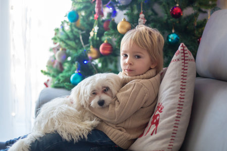 Cute toddler child. boy, hugginh baby puppy maltese dog at home on Christmas in front of christmas treeの写真素材