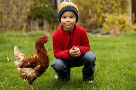 Cute preschool child, blond boy, holding hen chicken in a garden autumntime