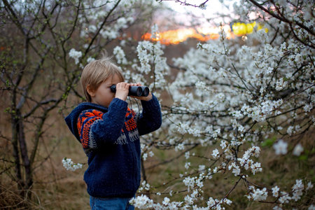 Child, watching amazing sunset with binoculars springtimeの写真素材