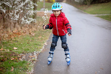Little child, preschool boy in protective equipment and rollers blades, riding on walkway in parkの写真素材