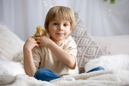 Happy beautiful childre, kids, playing with small beautiful ducklings, cute fluffy animal birdsの写真素材