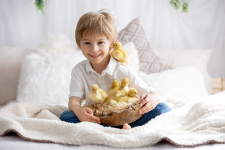 Happy beautiful childre, kids, playing with small beautiful ducklings, cute fluffy animal birds