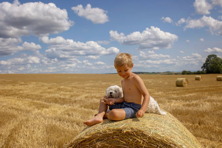 Beautiful blond child, boy, lying on a haystack in the field. Amazing landscape, rural scene with clouds, tree and empty road summertime, fields of haystack next to the road, summer in Portugalの写真素材