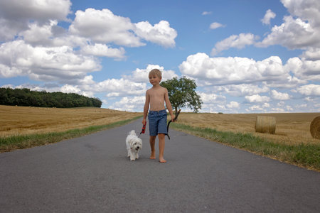 Beautiful blond child, boy, walking on rural road with his sweet little maltese pet dog. Amazing landscape, rural scene with clouds, tree and empty road summertime, fields of haystack next to the road, summerの写真素材