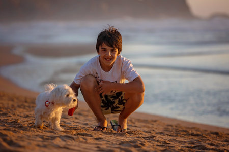 Happy chil, teen boy, playing on the beach on sunset with his pet dog, maltese breed, kid cover in...