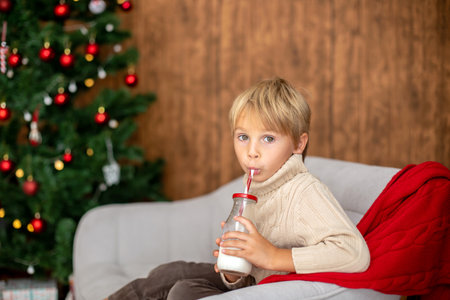Beautiful blond child, young school boy, playing in a decorated home with knitted toys at Christmasの写真素材