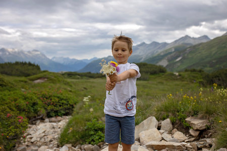Beautiful blond child, boy, gathering wild flowers fom mother in the mountains in Switzerland, summertimeの写真素材