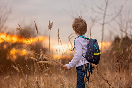 Adorable little child, boy, holding fild flowers in park on autumn day, sunset, tourism with...