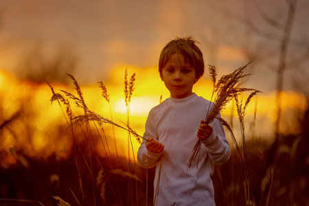 Adorable little child, boy, holding fild flowers in park on autumn day, sunset, tourism with backpackの写真素材