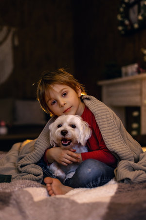 Little toddler child, boy, lying in bed with pet dog, little maltese dog, reading a book, nice soft lightの写真素材