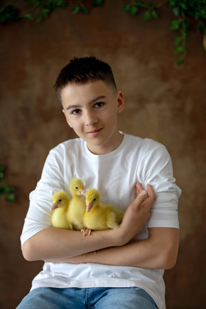 Happy beautiful child, kid, playing with small beautiful ducklings or goslings,, cute fluffy yellow animal birdsの写真素材